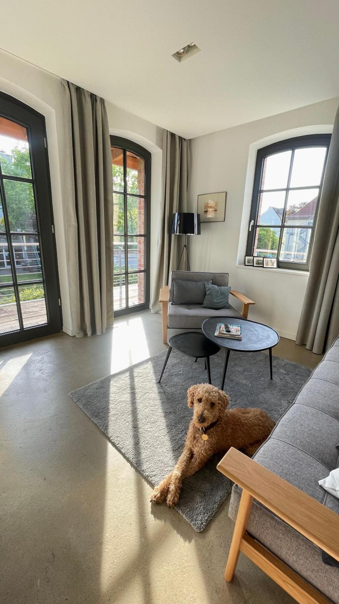 Sonniges Hinterhaus Og Innenstadt Όσναμπρουκ Εξωτερικό φωτογραφία